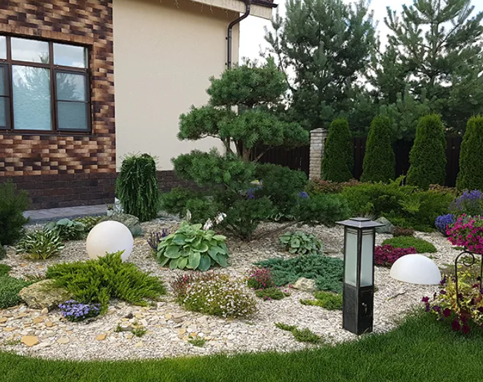 studio team arranging plants